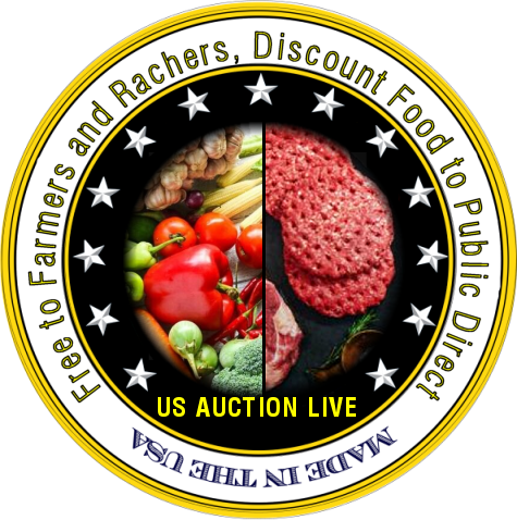 US AUCTION LIVE
